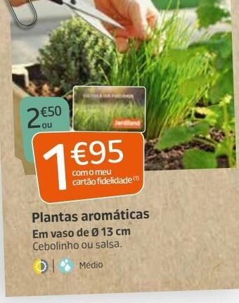 Jardiland Plantas promoção