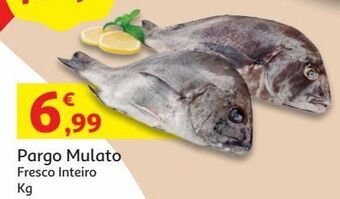 Auchan Pargo mulato: fresco inteiro kg promoção