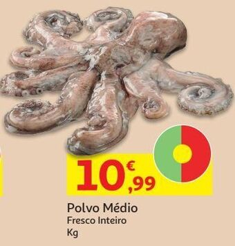 Auchan Polvo medio:fresco inteiro kg promoção