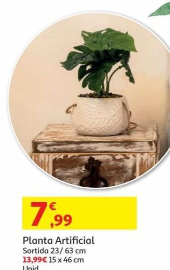 Auchan Planta artificial promoção