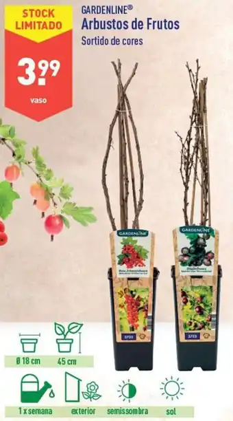 ALDI Gardenline Arbustos de Frutos promoção