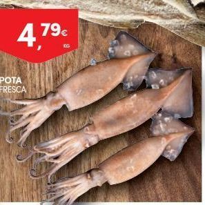 Continente Bom dia Peixe promoção