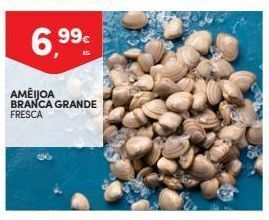 Continente Bom dia Marisco promoção