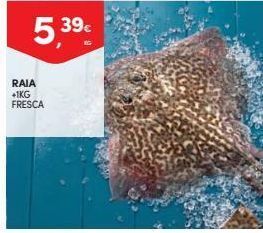 Continente Bom dia Peixe promoção