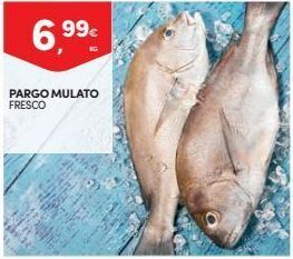 Continente Bom dia Pargo promoção