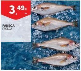 Continente Bom dia Peixe promoção