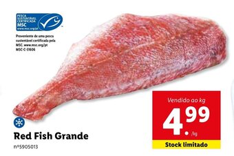 Lidl Red Fish Grande promoção