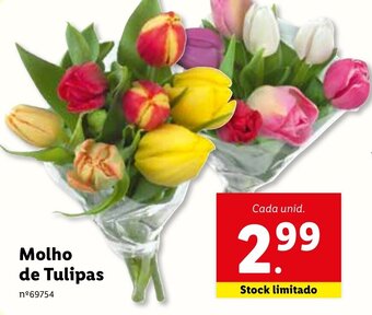 Lidl Molho de Tulipas promoção
