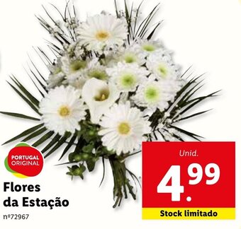 Lidl Flores da Estação promoção