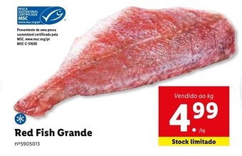 Lidl Red Fish Grande promoção
