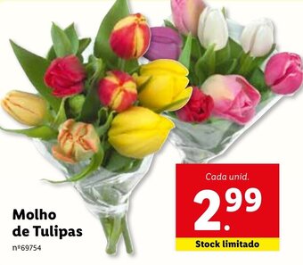 Lidl Molho de Tulipas promoção