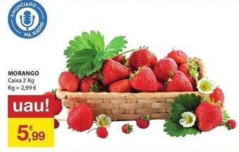 E.Leclerc Morango promoção