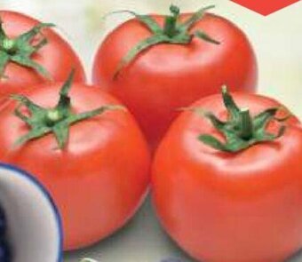 ALDI Tomate Salada promoção