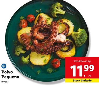 Polvo Pequeno