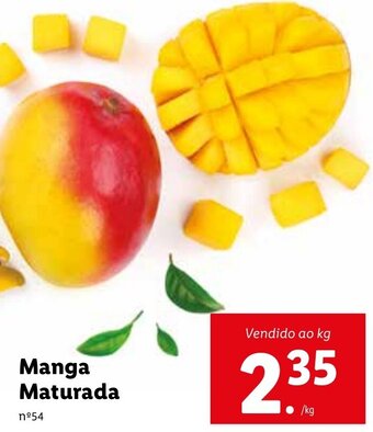 Lidl Manga Maturada promoção