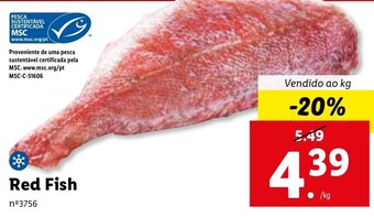 Lidl Red Fish promoção