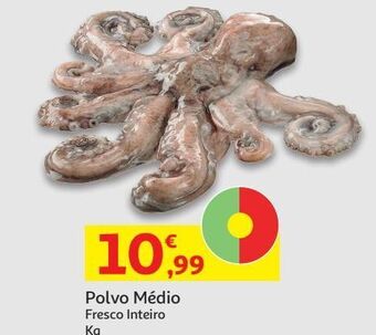 Auchan Polvo medio promoção