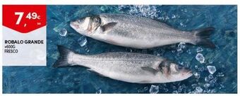 Robalo