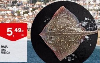 Raia 1kg