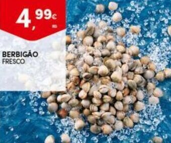 Continente Berbigão Fresco promoção