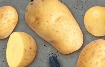 ALDI Batata Branca 3kg promoção