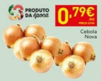 Recheio Cebola Nova promoção