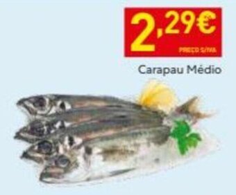 Recheio Carapau Médio promoção