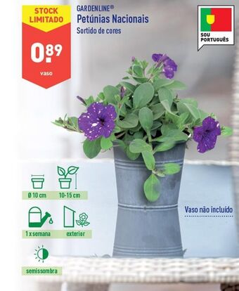 ALDI Plantas com flores promoção