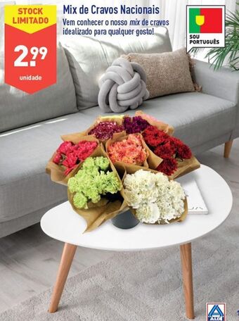 ALDI Plantas promoção