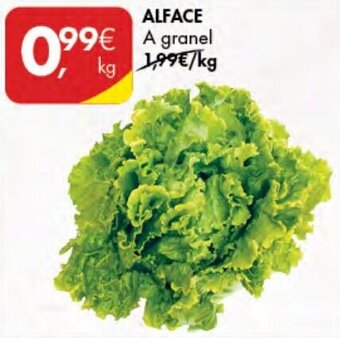 Alface
