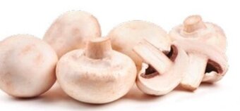 Intermarché Cogumelo 300g promoção