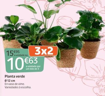 Jardiland Plantas promoção