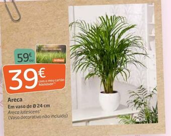 Jardiland Plantas promoção
