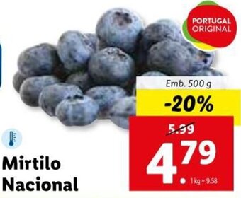 Lidl Mirtilo Nacional 500g promoção
