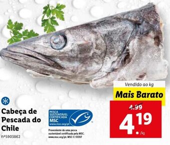 Lidl Cabeça de Pescada do Chile promoção