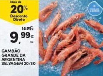 Continente Gambão Grande da Argentina Selvagem 20/30 promoção