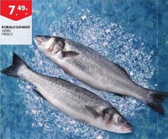 Continente Robalo Grande +600g Fresco promoção