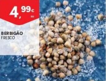 Continente Berbigão Fresco promoção