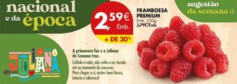 Framboesa Premium 250g