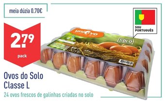 ALDI Ovos do Solo Classe L promoção