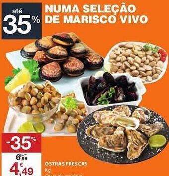 E.Leclerc Ostras promoção