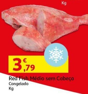 Red Fish Médio sem Cabeça