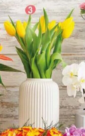 Pingo Doce Molho de Tulipas promoção