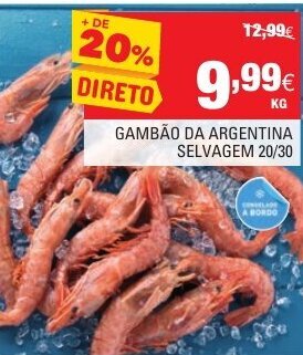 Gambão Da Argentina Selvagem 20/30