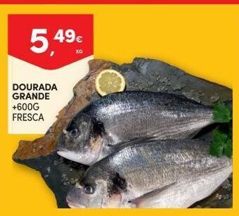 Continente Bom dia Dourada promoção