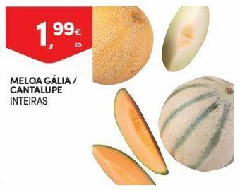 Continente Bom dia Melão promoção