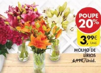 Pingo Doce Molho de Lírios promoção