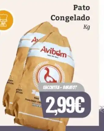 Pato Congelado