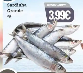 Belita Sardinha Grande promoção