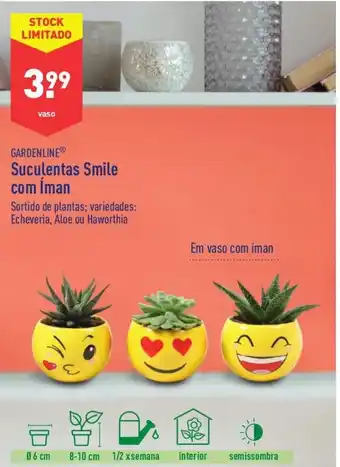 ALDI Gardenline Suculentas Smile com Íman promoção